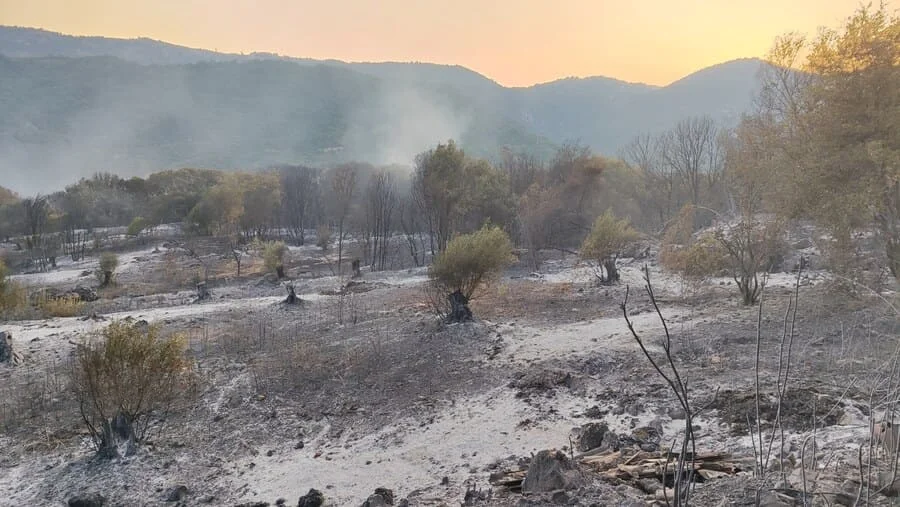 Βρυσούλα: Οριοθετήθηκε η πυρκαγιά, διάσπαρτες εστίες κρατούν σε εγρήγορση τις δυνάμεις 3 vrisoula f