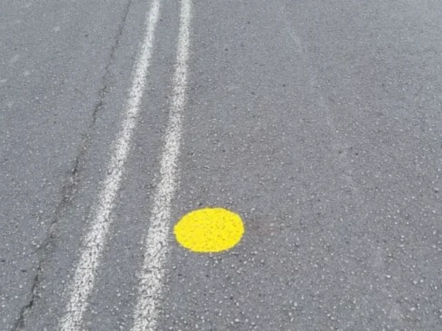 κιτρινεσ ωοθλεσ