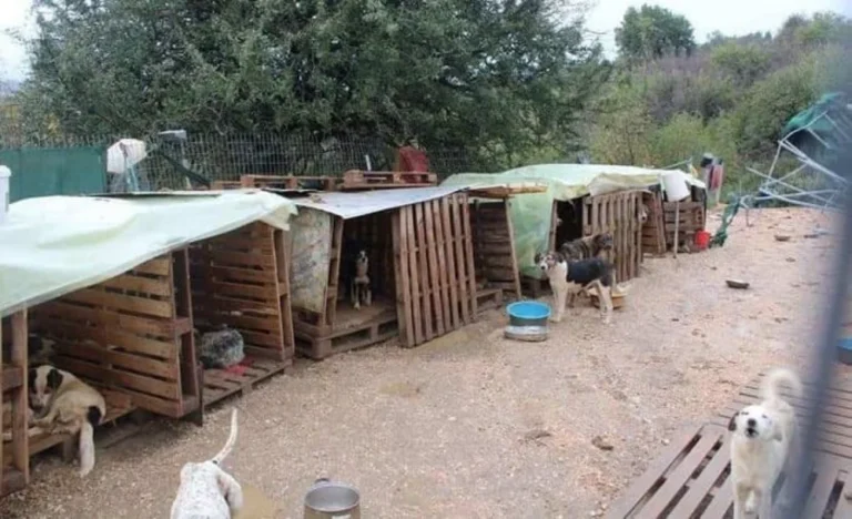 katafigio ziros