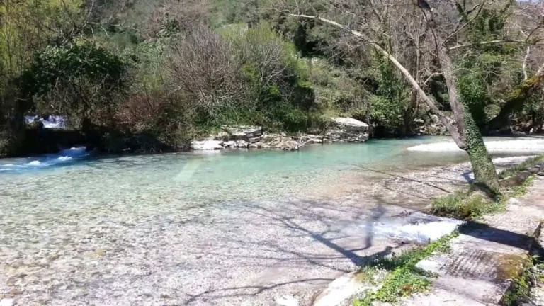 lagkavitsa ()
