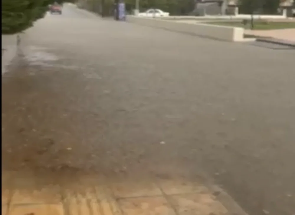 plimmira magklareika