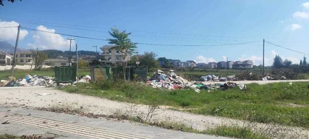 Χωματερή… τα Καρδαμίτσια! 1 kardamitsia ogkodi