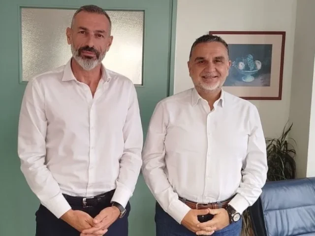 stamatiadis tsimaris