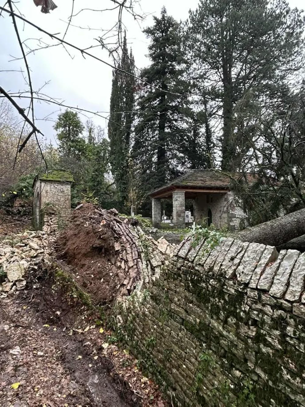 Τεράστια κυπαρίσσια ξεριζώθηκαν στο Διλοφο Ζαγορίου και προκάλεσαν ζημιές στο οστεοφυλάκιο 1 dilofo kiparisia