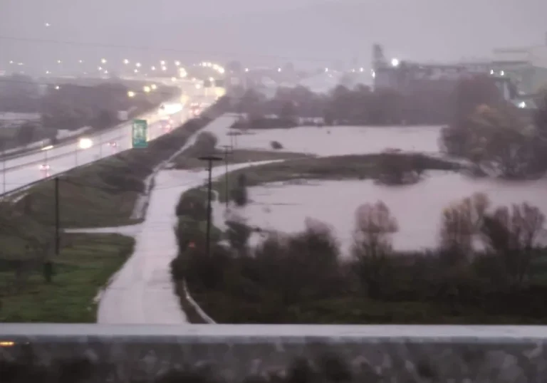 egnatia pedini plimmira