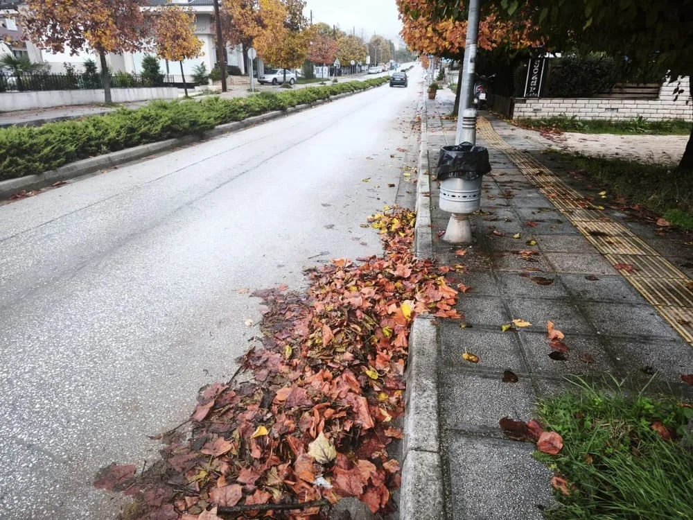 Ιωάννινα: Φρεάτια κάτω από φύλλα δέντρων.. Ένα μικρό πρόβλημα που μπορεί να οδηγήσει σε μεγάλα! 3 freatio filla