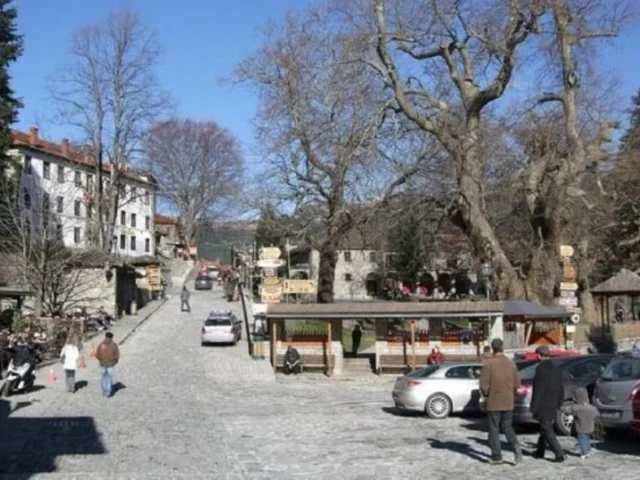 metsovo geniki epirus