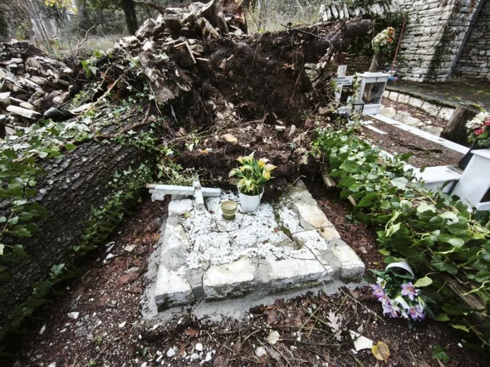 Δίλοφο: Εκτεταμένες ζημιές στο νεκροταφείο από κυπαρίσσια που ξεριζώθηκαν 3 nekrotafeio dilofo