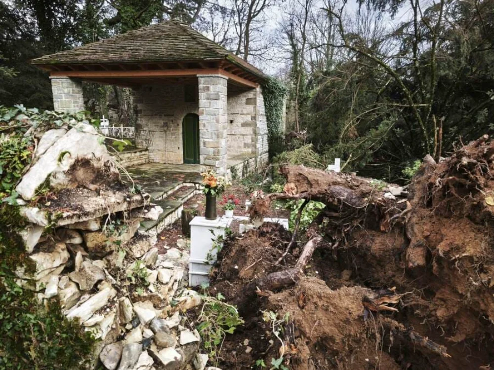 Δίλοφο: Εκτεταμένες ζημιές στο νεκροταφείο από κυπαρίσσια που ξεριζώθηκαν 1 nekrotafeio dilofo