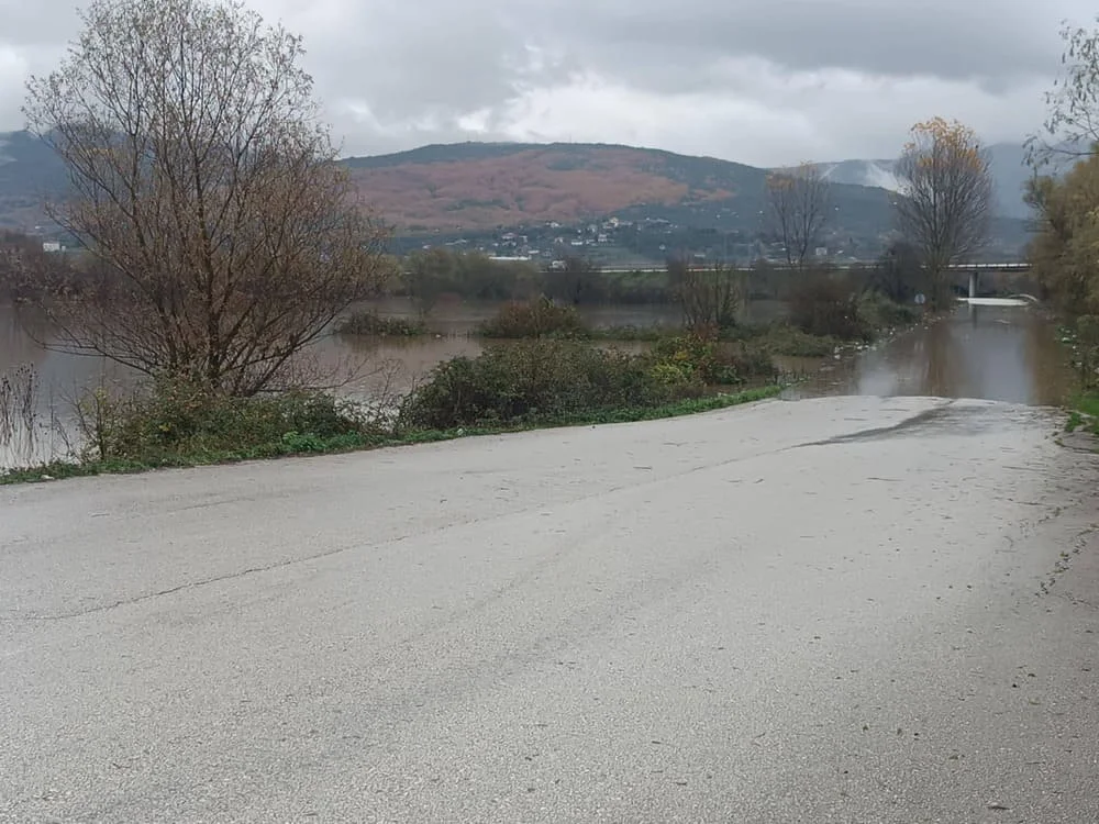 plimmira lekanopedio