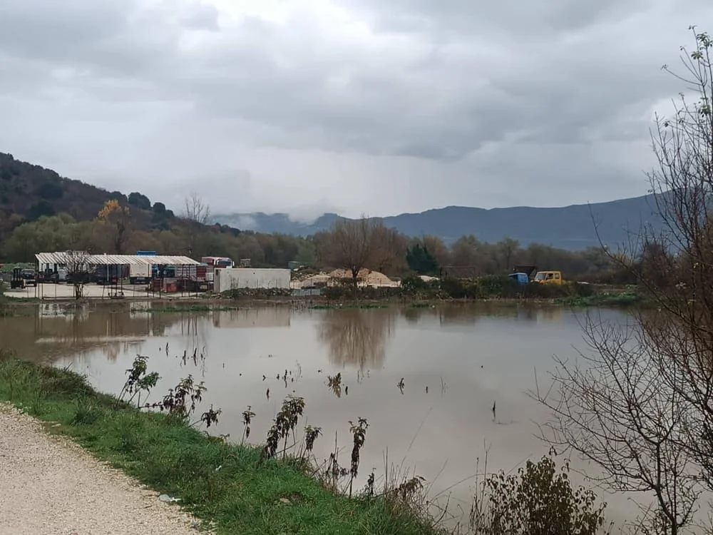 plimmira lekanopedio