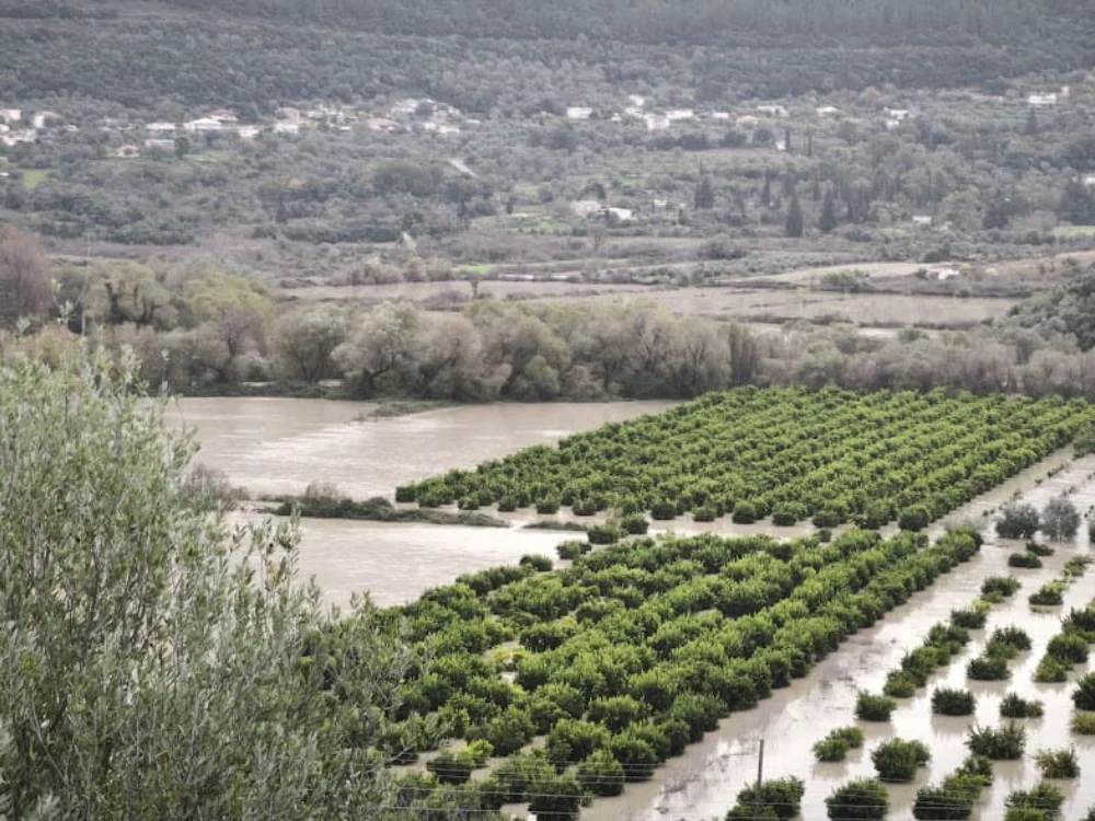 plimmires thesprotia