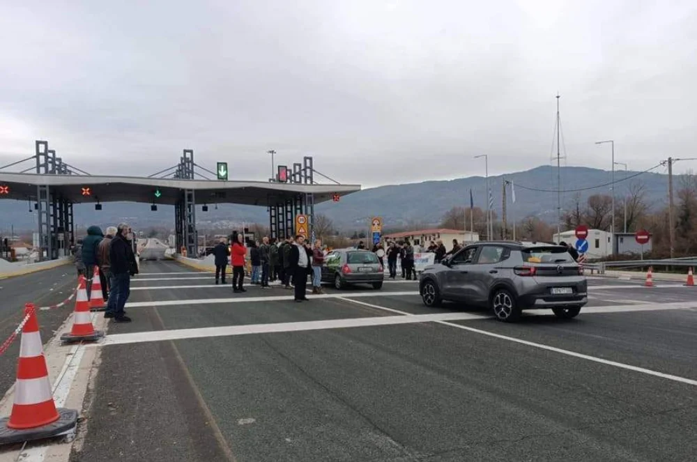 agrotes diodia egnatia