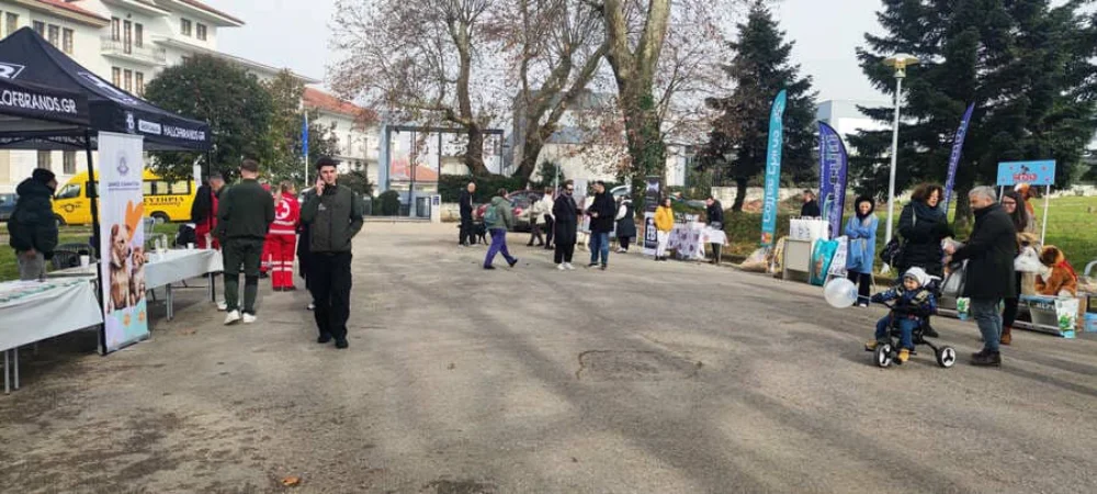 Ιωάννινα: Μαθητές και πολίτες ενώνουν δυνάμεις για την υιοθεσία αδέσποτων 3 giorti adespota