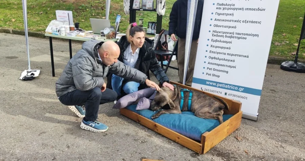 Ιωάννινα: Μαθητές και πολίτες ενώνουν δυνάμεις για την υιοθεσία αδέσποτων 2 giorti adespota