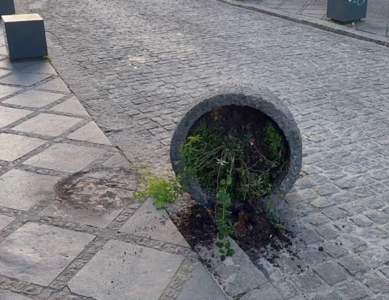 glastra aneksartisias