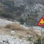 rodaugi