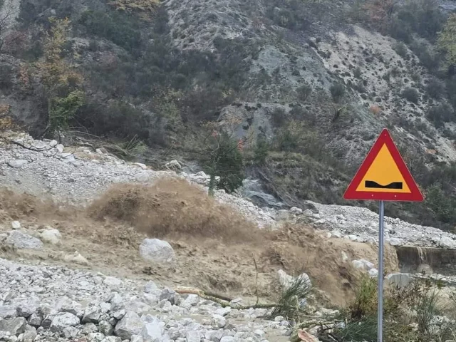rodaugi