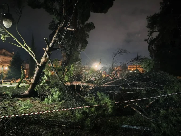 dentro parko girokomeio