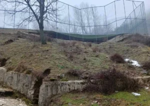 matsouki nees zimies