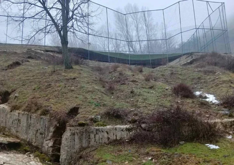 matsouki nees zimies