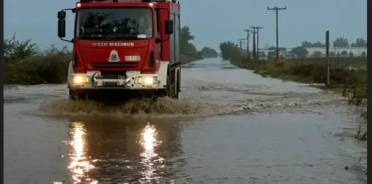 pirosvestiki plimmira