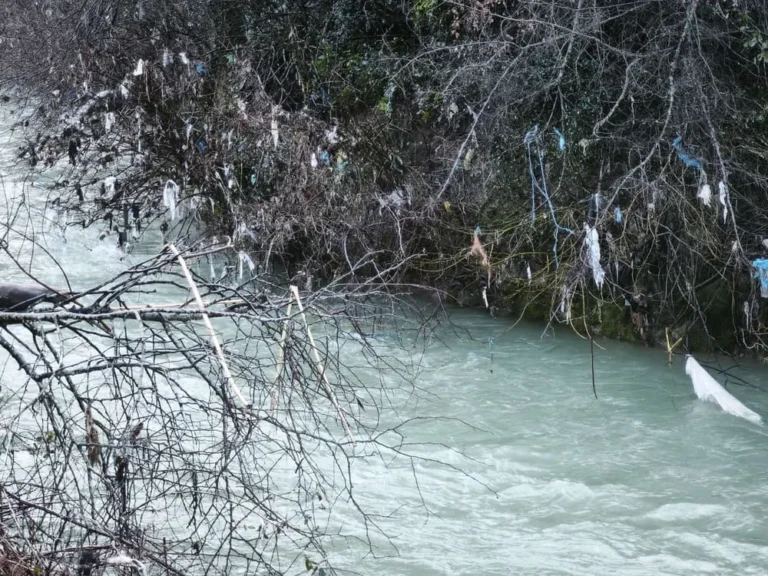 plastika dentra kalamas