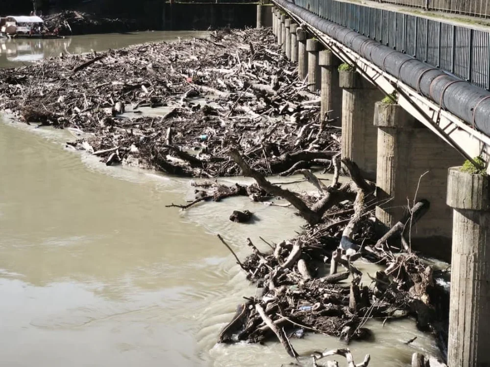 Καλαμάς: Κορμοί δέντρων και φερτά υλικά «έφραξαν» την γέφυρα Ραγίου 1 ragio platania
