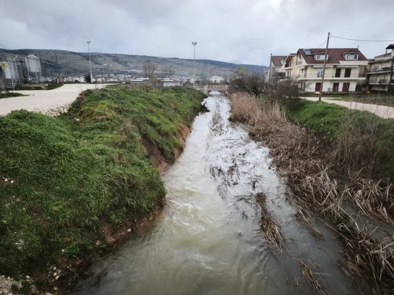lagkatsa seismoplikta