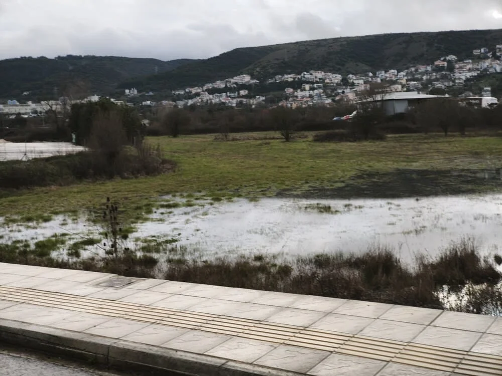 lagkatsa seismoplikta