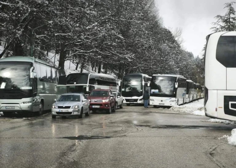 metsovo leoforeia xeimonas