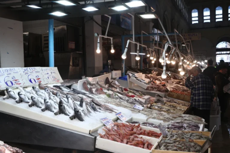 talassina sarakostiana