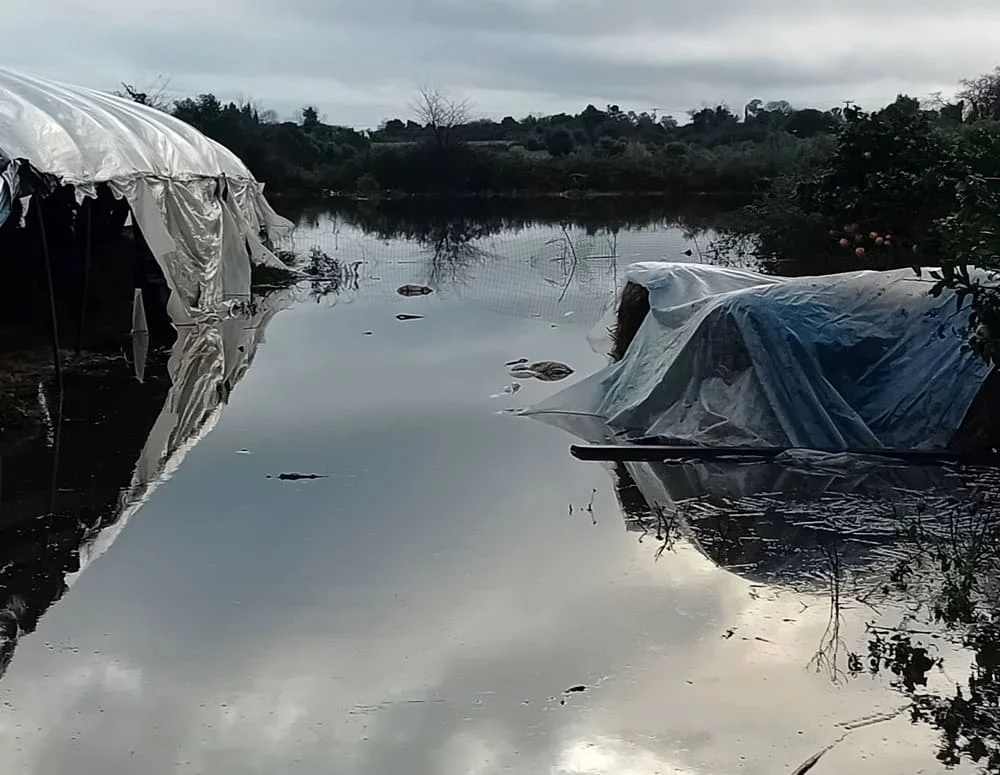 Πλημμύρες στον Μύτικα- Ζημιές σε θερμοκήπια και κτηνοτροφικές μονάδες 1 termokipia mitikas