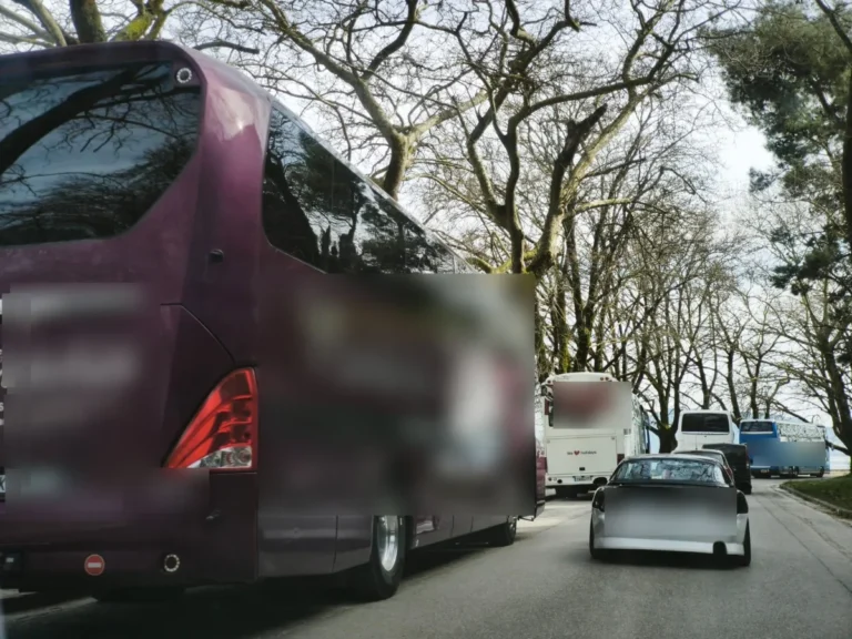 leoforeia paralimnios