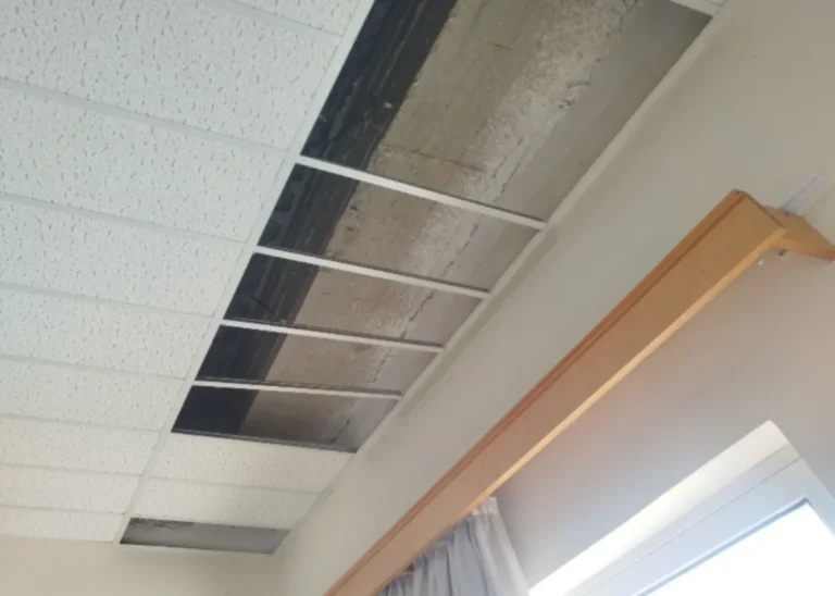 psedorofi panepistimio