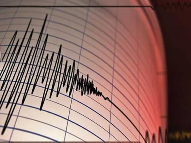 seismografos ()