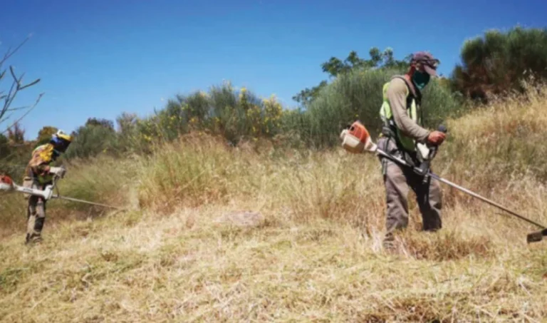 οικοπεδα καταρισμοσ