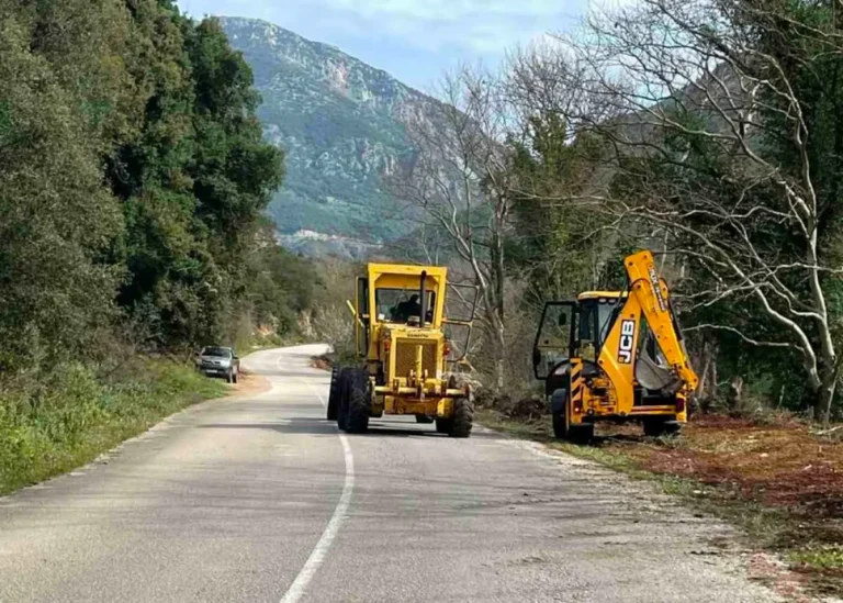 filiatess katarismoi