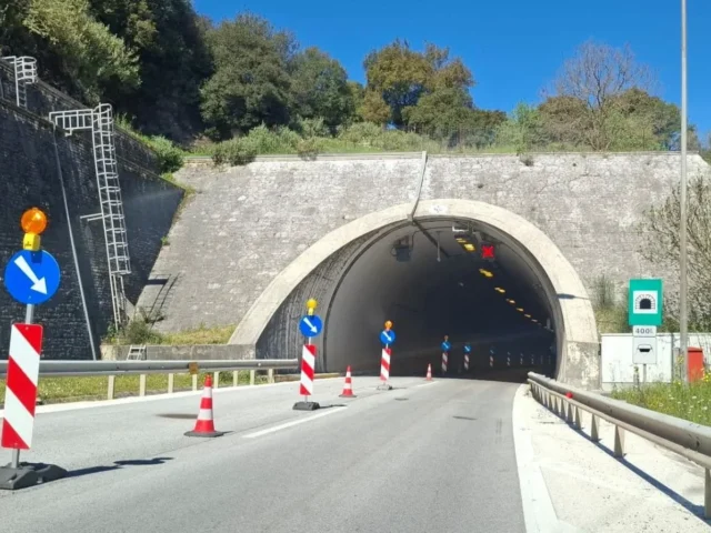 siragga egnatia
