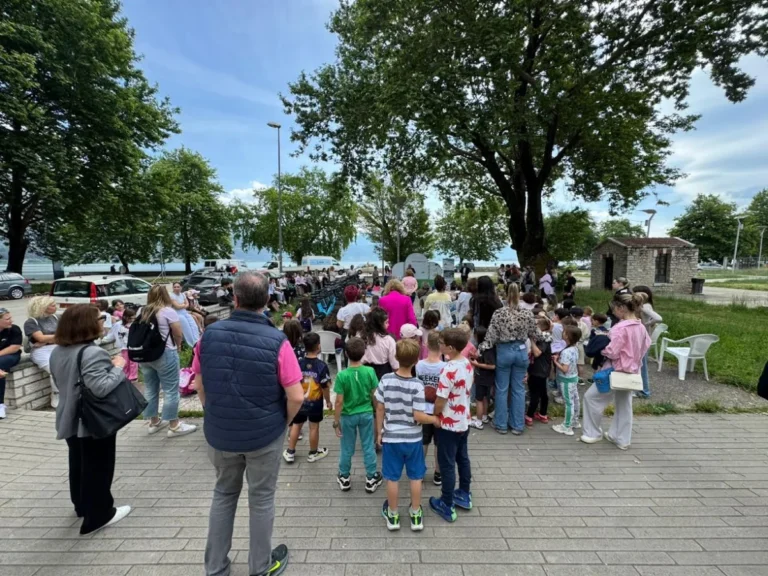 ekdilosi anakiklosi