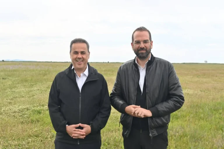 farmakis papastauros