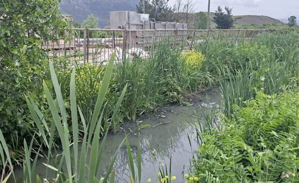 Αιφνιδιαστική αυτοψία στον βιολογικό από τους αγρότες- Καταγγελίες για την ρύπανση και τα λύματα 1 tafros autopsia