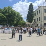 zosimaia poreia