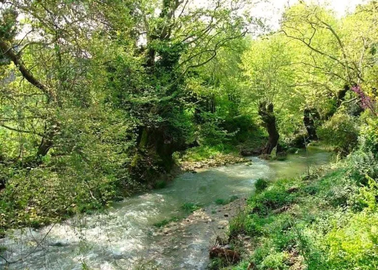 aretonas