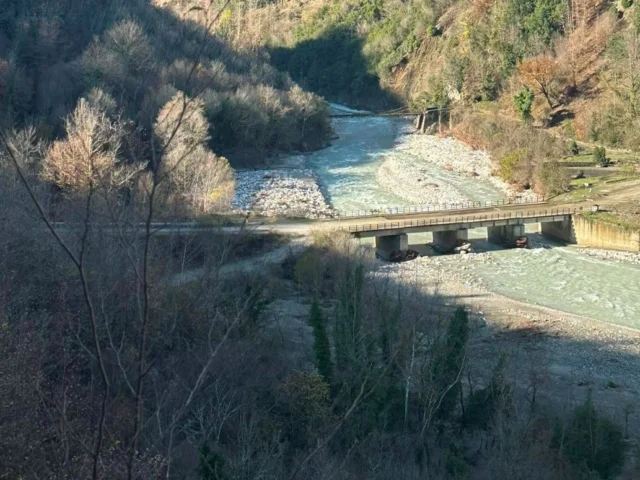 gefira gkogkou