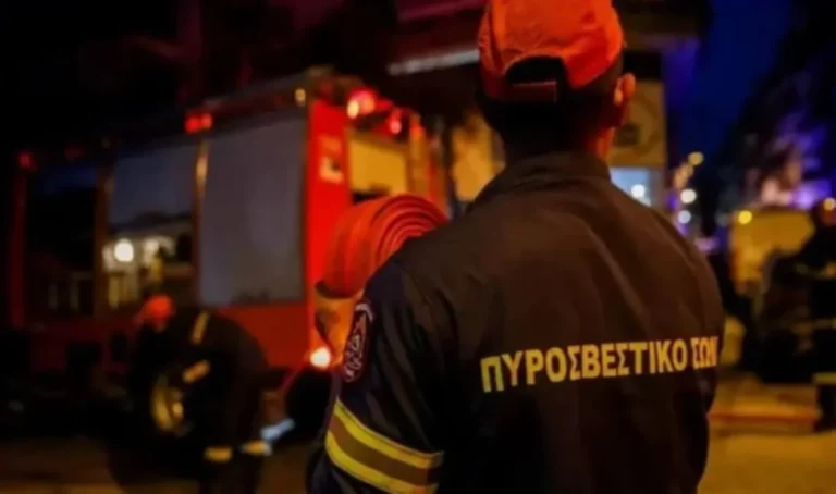 pirosvestiki nixta