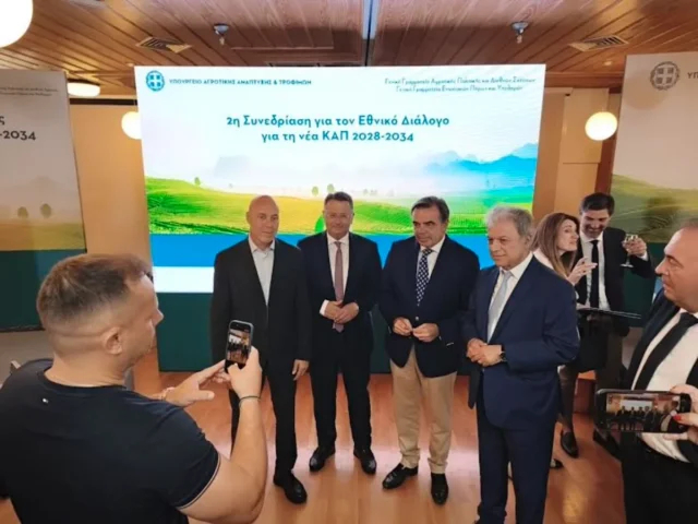 sxoinas metsovo
