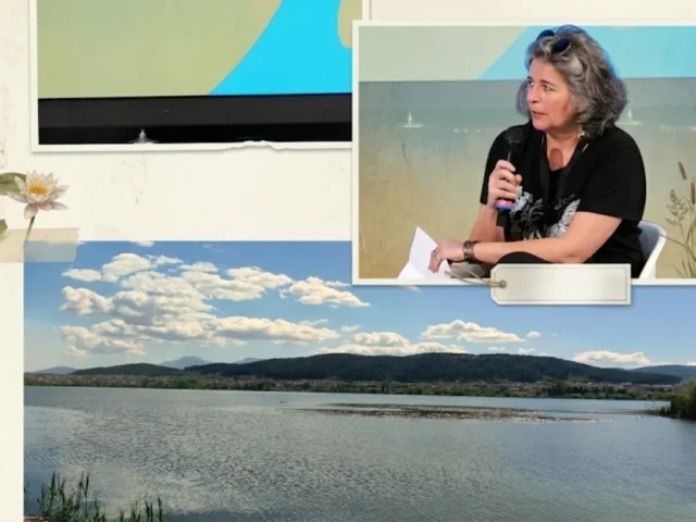 vasiliki kati ()