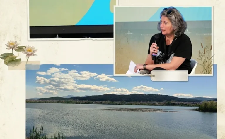 vasiliki kati ()