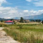 velissario xorta